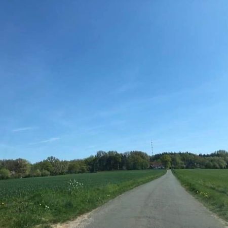 Katshof Villa Godewaersvelde Eksteriør billede